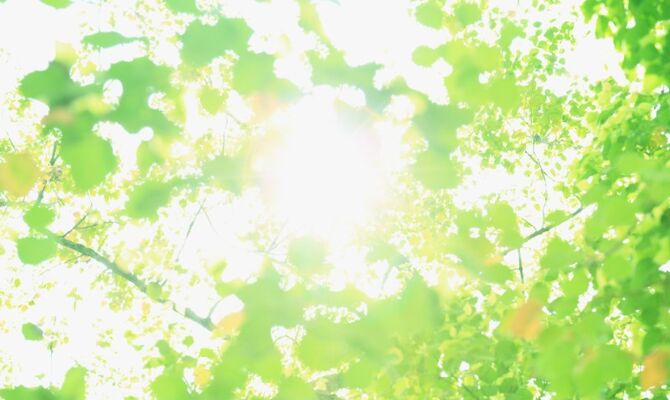 98b42f28abaa397efabf397b5c18a71b_m